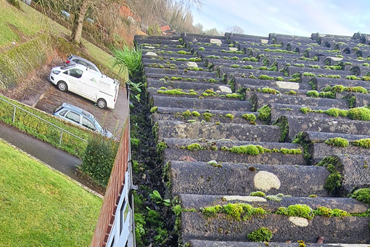 Dynamic Care and Repair Ltd